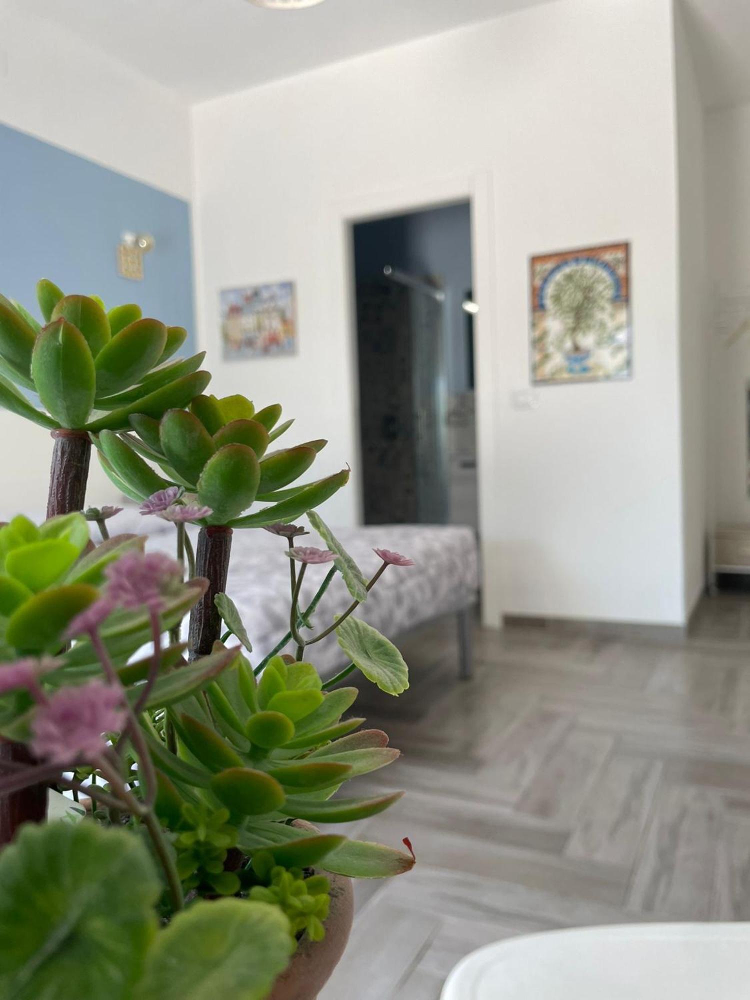 Готель Casacecilia Relax Syracuse Екстер'єр фото